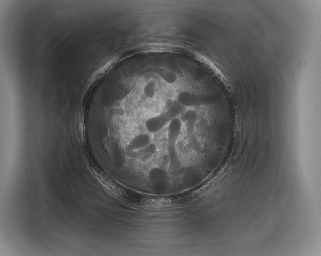 X0000116571403200912171454