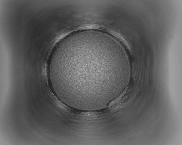 X0000116571404200912171454