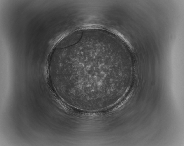 X0000116571405200912171454