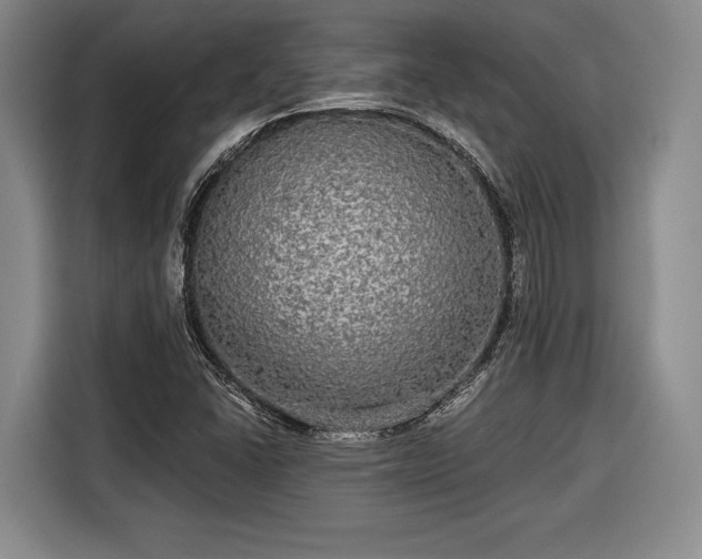 X0000116571406200912171454