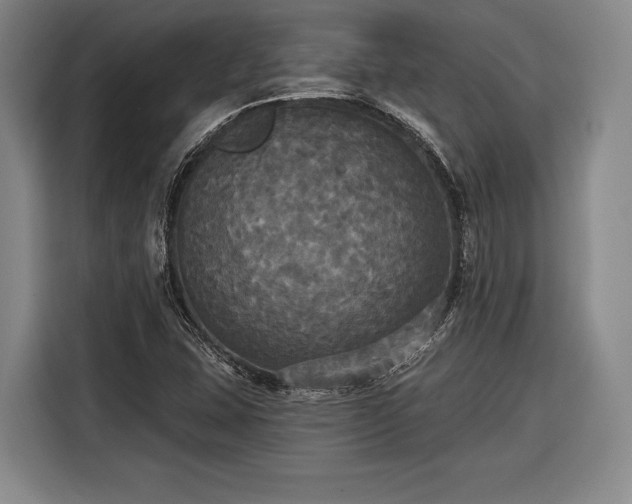 X0000116571407200912171454