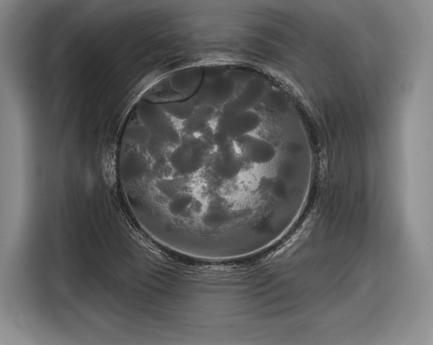 X0000116571409200912171454