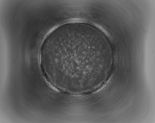 X0000116571413200912171454