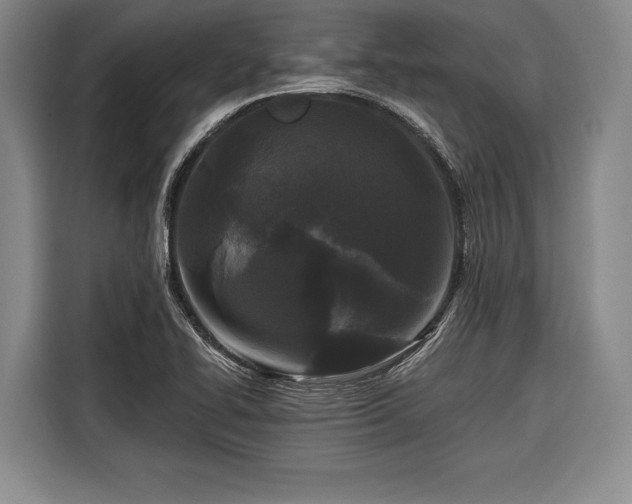 X0000116571414200912171455