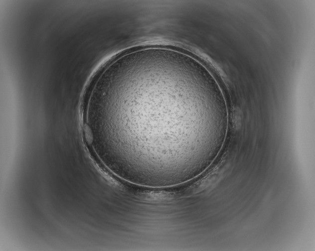 X0000116571416200912171455