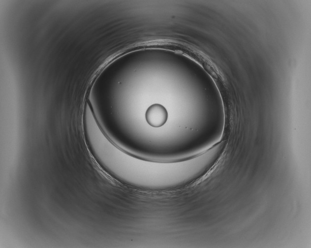 X0000116571417200912171455