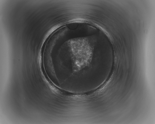 X0000116571418200912171455