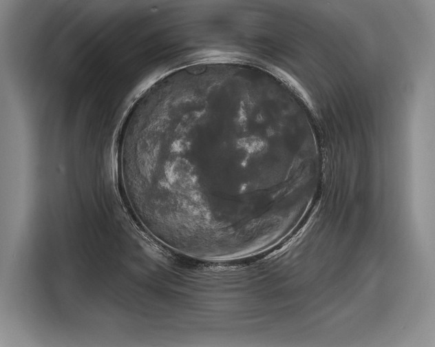 X0000116571419200912171455