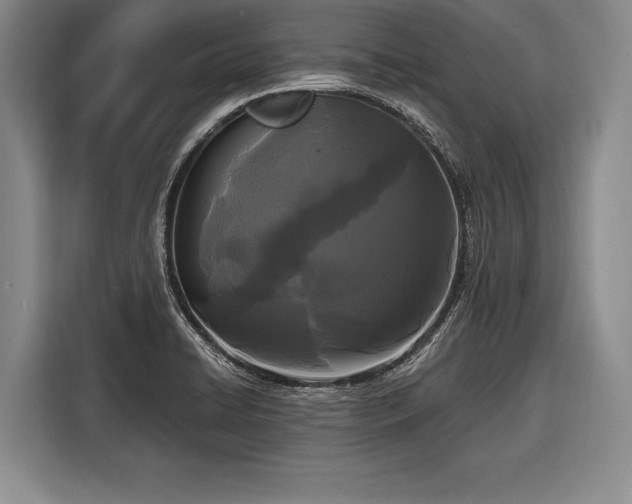 X0000116571422200912171455