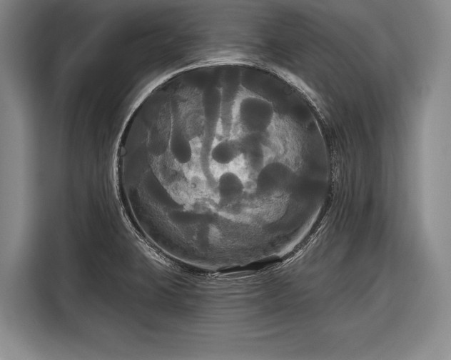 X0000116571423200912171455