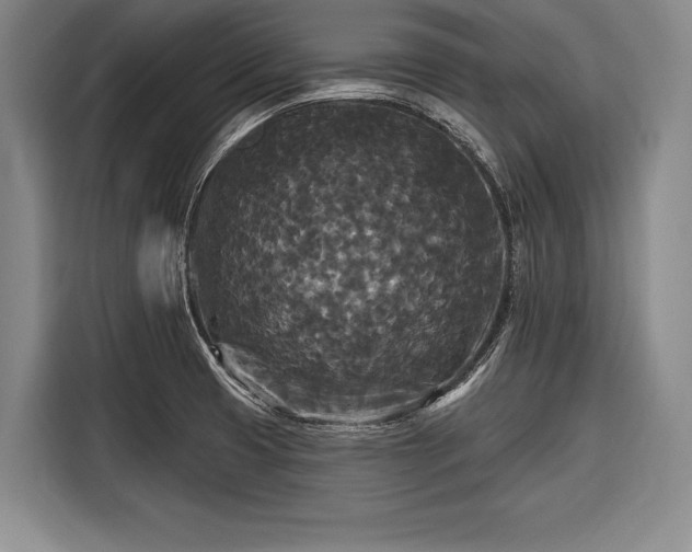 X0000116571425200912171455