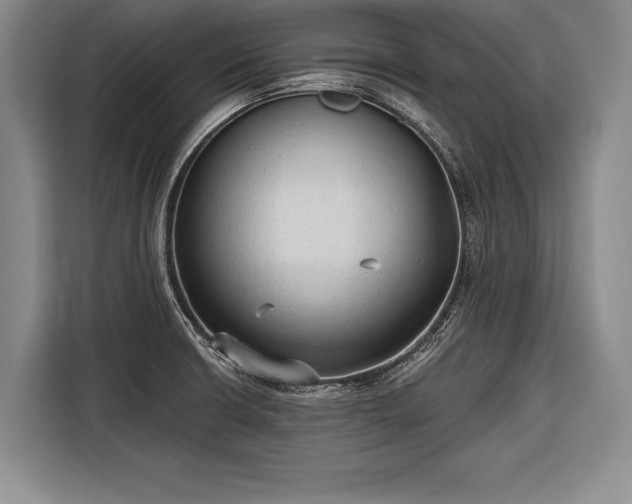 X0000116571426200912171455