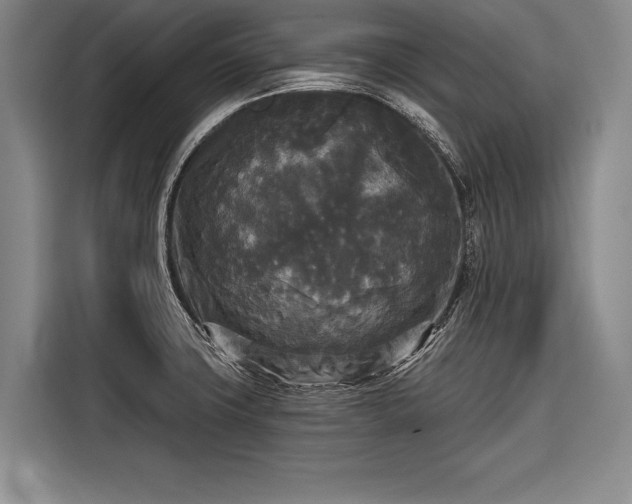 X0000116571427200912171455