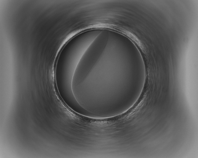 X0000116571428200912171455