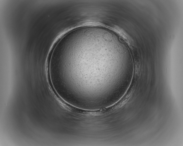 X0000116571430200912171455