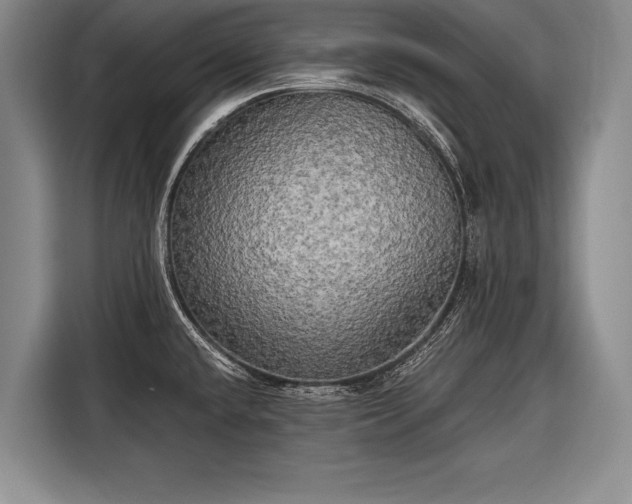 X0000116571432200912171455