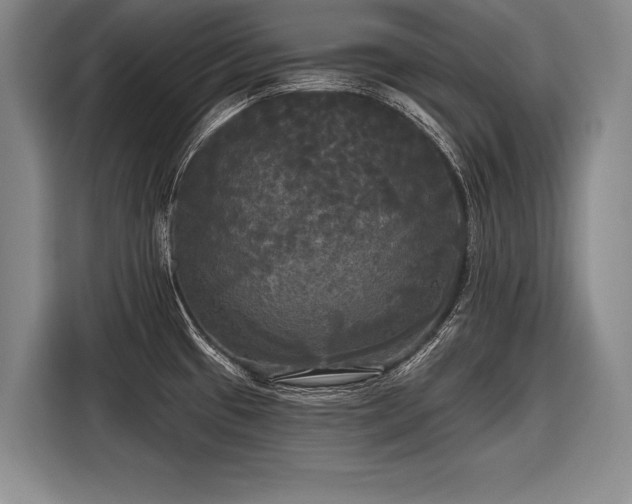 X0000116571433200912171455