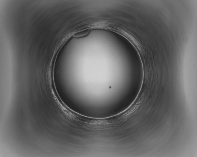 X0000116571434200912171455