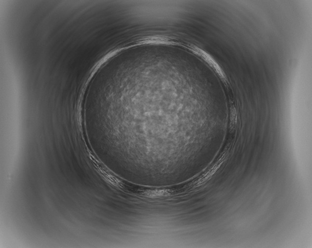 X0000116571435200912171455