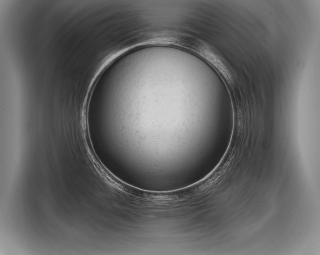 X0000116571436200912171455