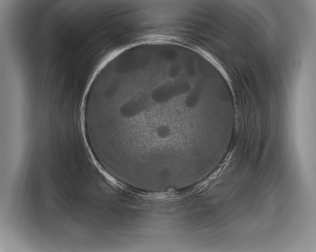 X0000116571437200912171455