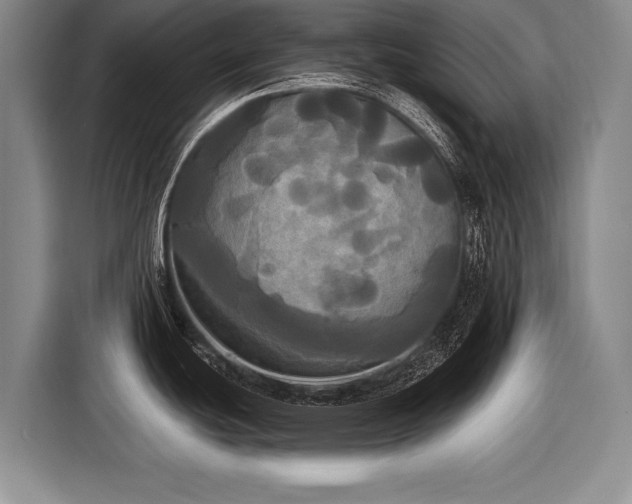 X0000116571439200912171455