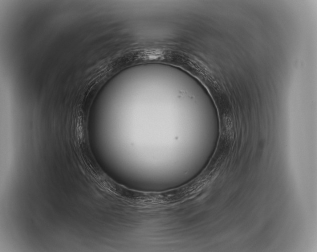 X0000116571442200912171454