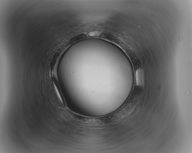 X0000116571443200912171454