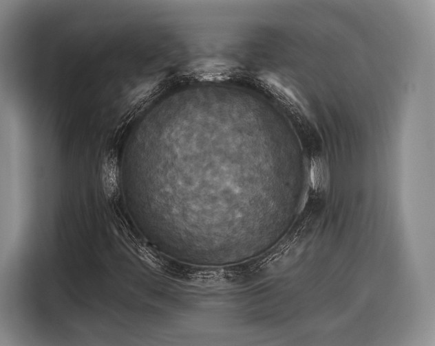 X0000116571444200912171454