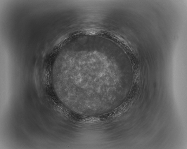 X0000116571446200912171454