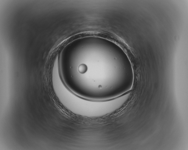 X0000116571448200912171454