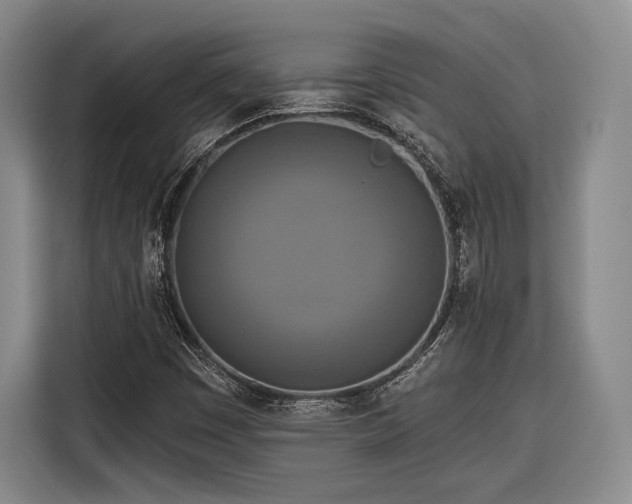 X0000116571449200912171454