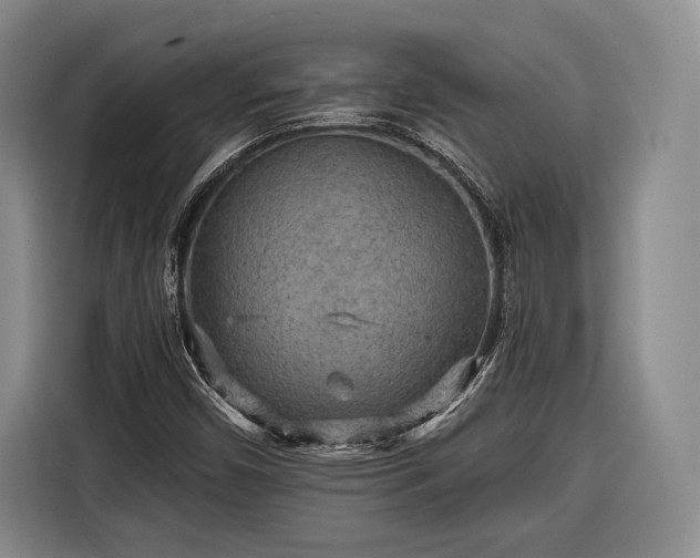 X0000116571450200912171454