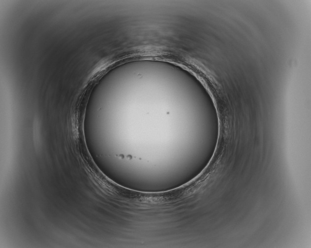 X0000116571451200912171454