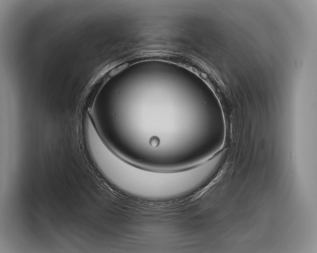 X0000116571453200912171454