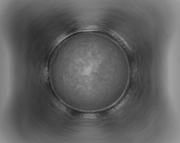 X0000116571457200912171454