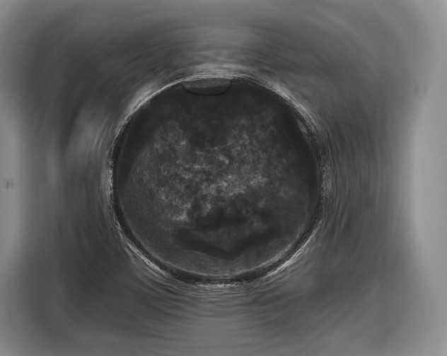 X0000116571459200912171454