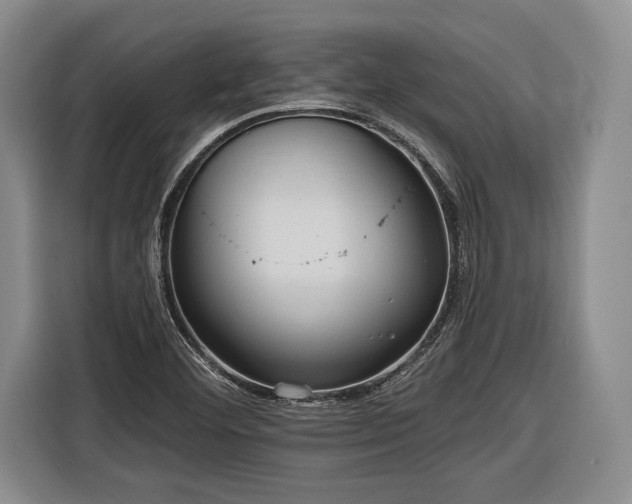 X0000116571460200912171454