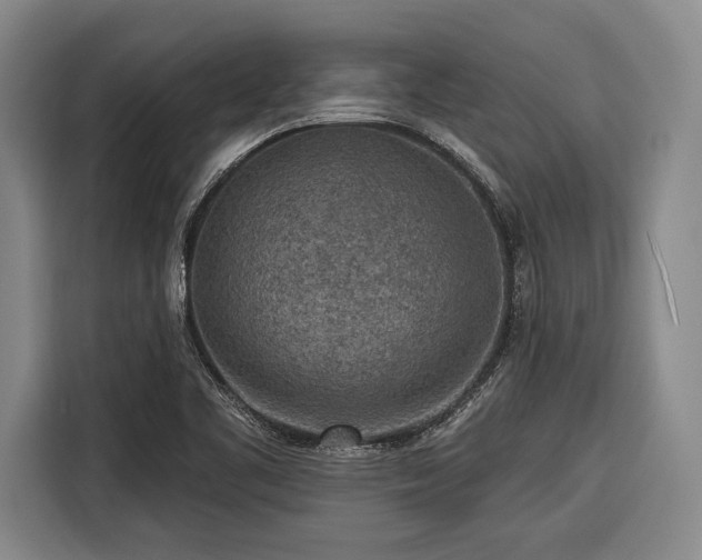 X0000116571461200912171454