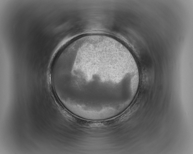 X0000116571462200912171454