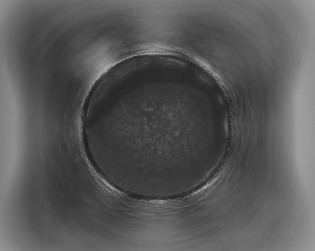 X0000116571463200912171454