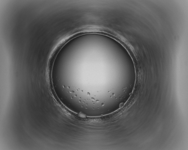 X0000116571464200912171454