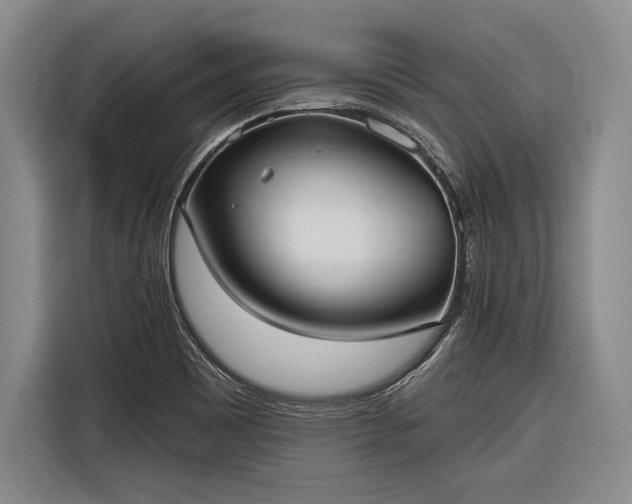 X0000116571465200912171454