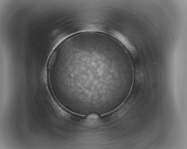 X0000116571468200912171454