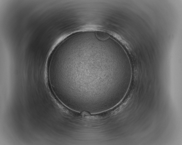 X0000116571469200912171454