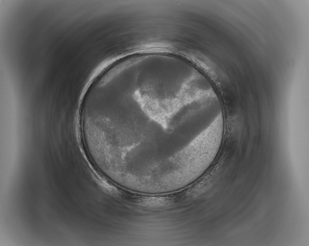 X0000116571470200912171454