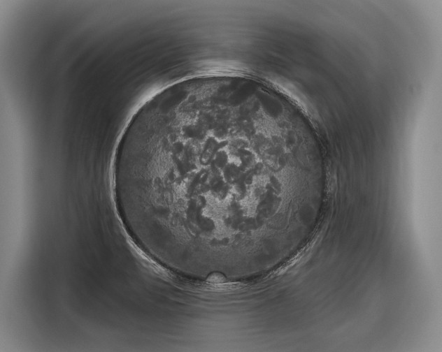 X0000116571471200912171454