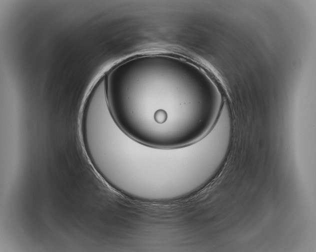 X0000116571472200912171454