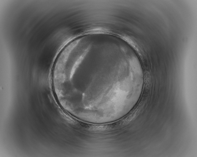 X0000116571474200912171454