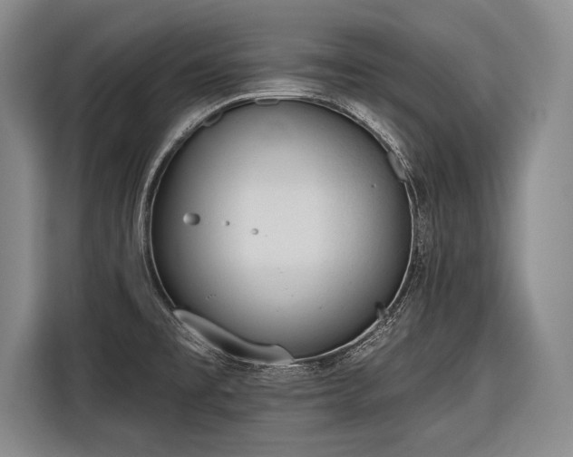 X0000116571477200912171454